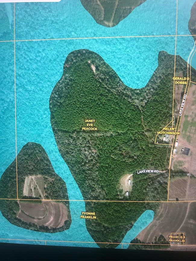 923 Lakeview Rd (159+-Ac), Slocomb, AL 36375 - photo 5