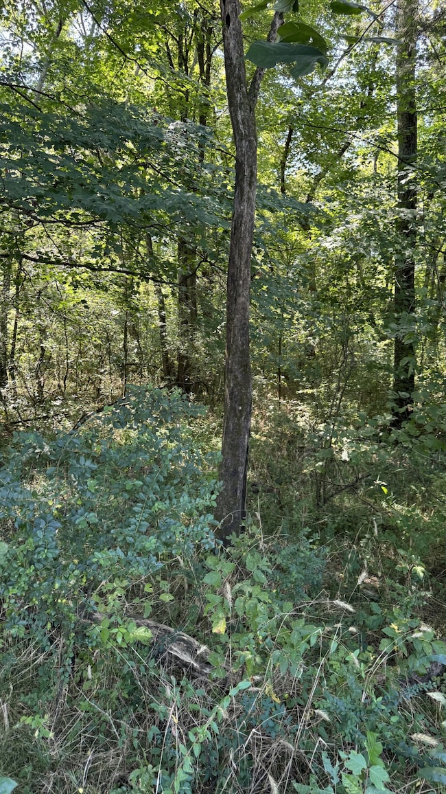 8322 Horton Hwy, College Grove, TN 37046 - photo 2