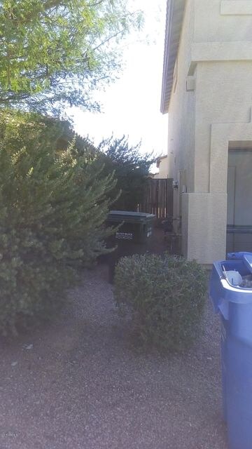 Backyard side gate