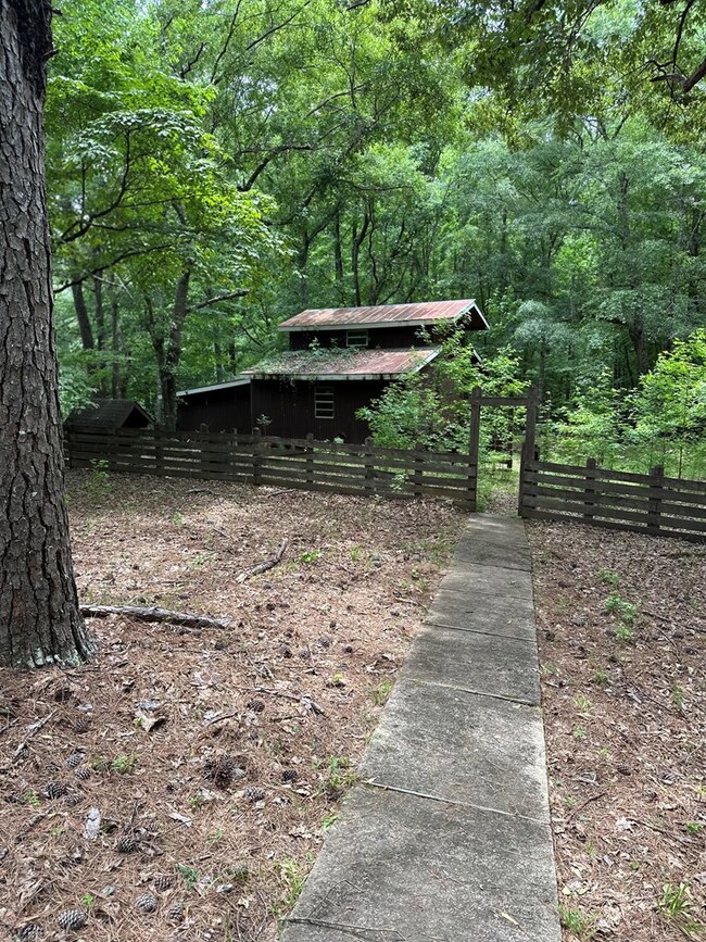 12200 County Line Rd, Midland, GA 31820 - photo 7