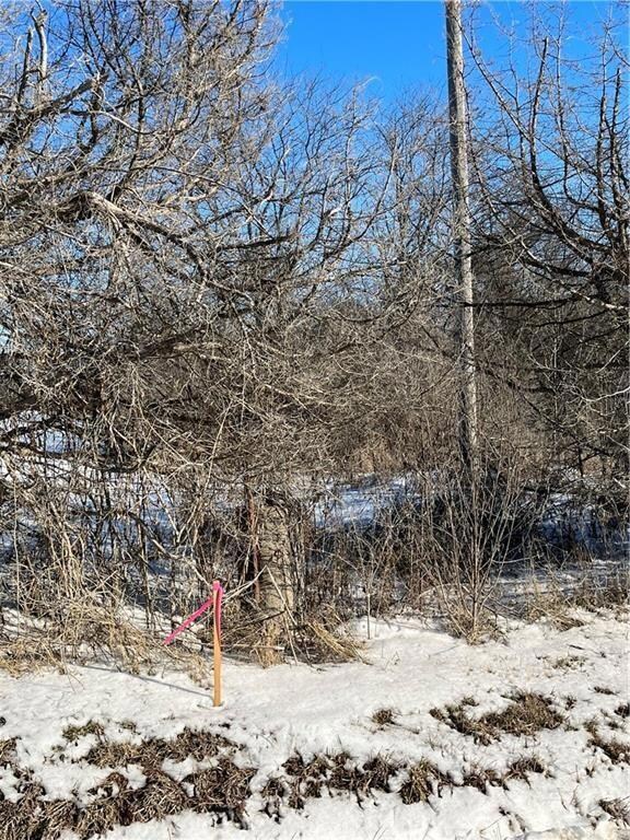 12297 Orrick Rd, Excelsior Springs, MO 64024 - photo 5