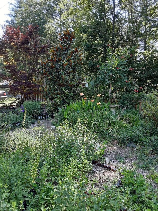 152 Jasmine Dr NE, Ranger, GA 30734 - photo 6