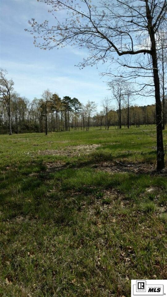 0 Louisiana 139 unit Tract 1, Monroe, LA 71203 - photo 3