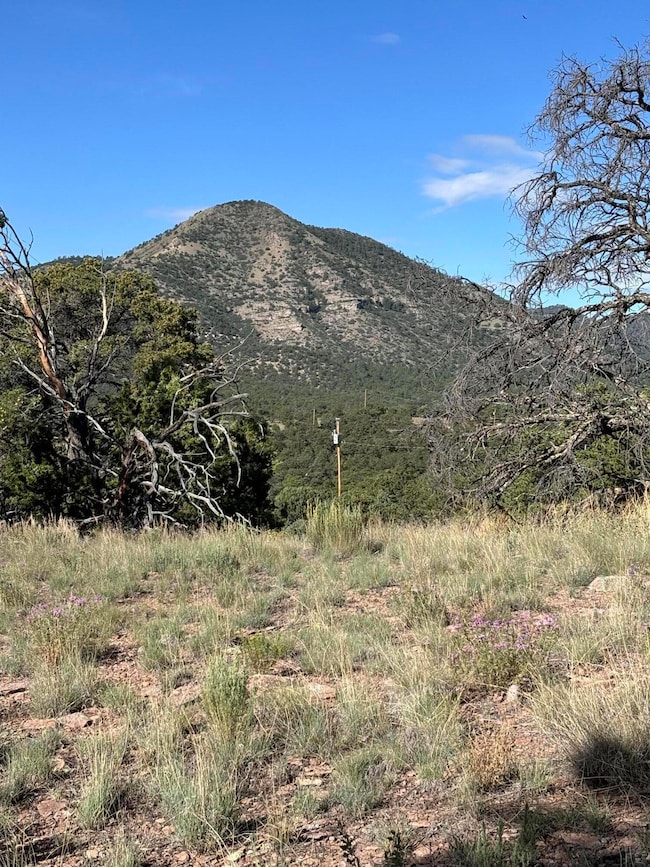 34 Lookout Cir, Datil, NM 87821 - photo 2