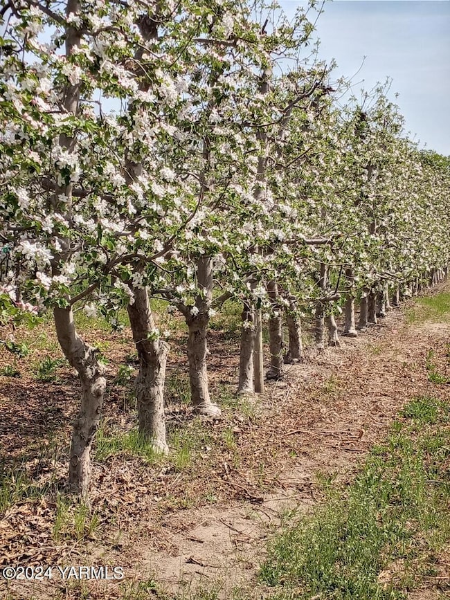 4851 Lombard Loop Rd, Zillah, WA 98953 - photo 4