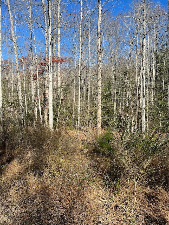 5 Acres Hendon Rd, Graysville, TN 37338 - photo 3