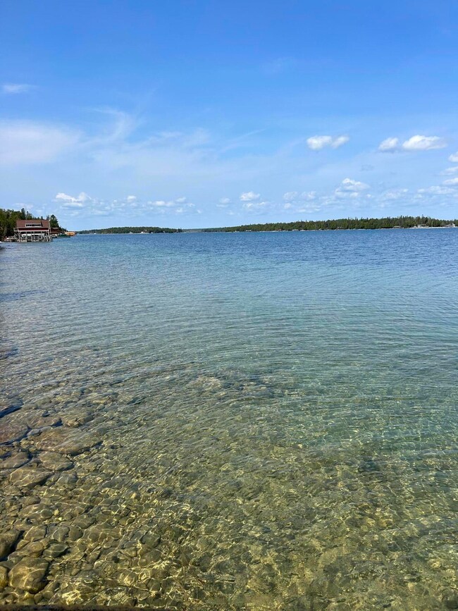 0 S Coryell Island unit 23-1152, Cedarville, MI 49719 - photo 2