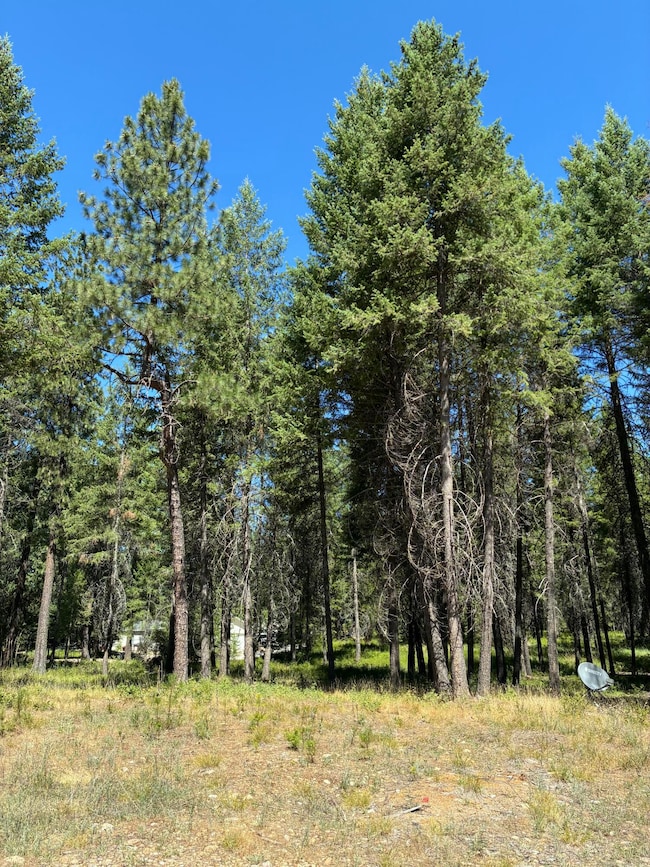 3741 N Deer Lake Rd, Loon Lake, WA 99148 - photo 2