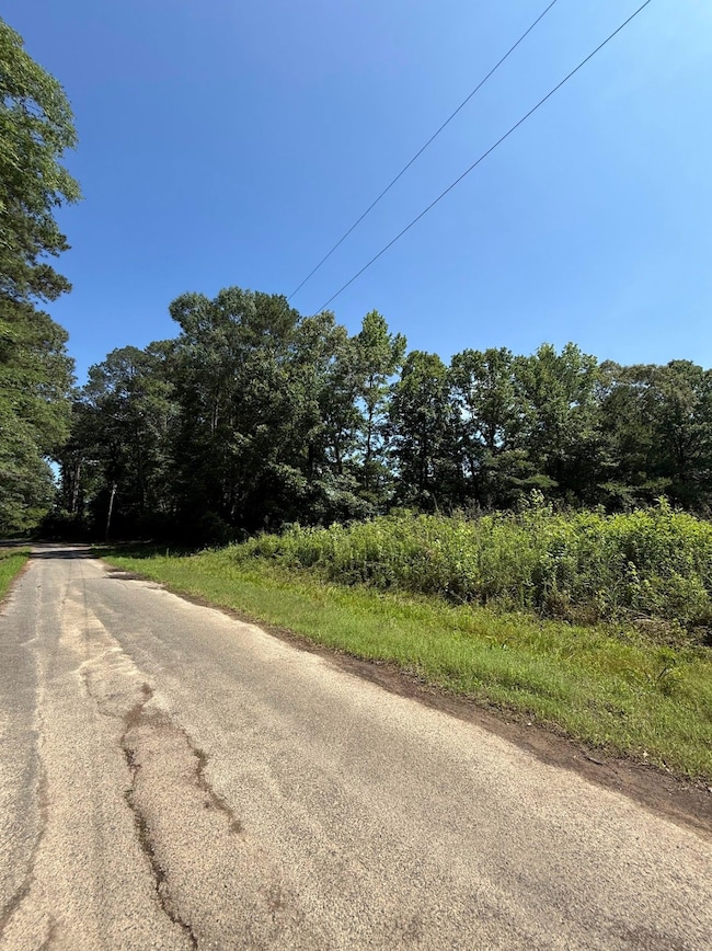 0 Zoar Rd unit Louisiana 71226, Chatham, LA 71226 - photo 3