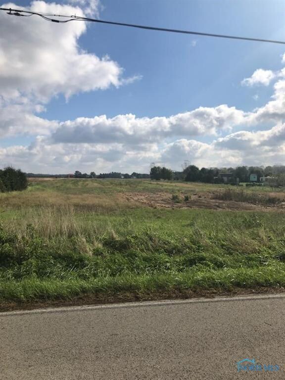 4110 County Road 5-2, Delta, OH 43515 - photo 2