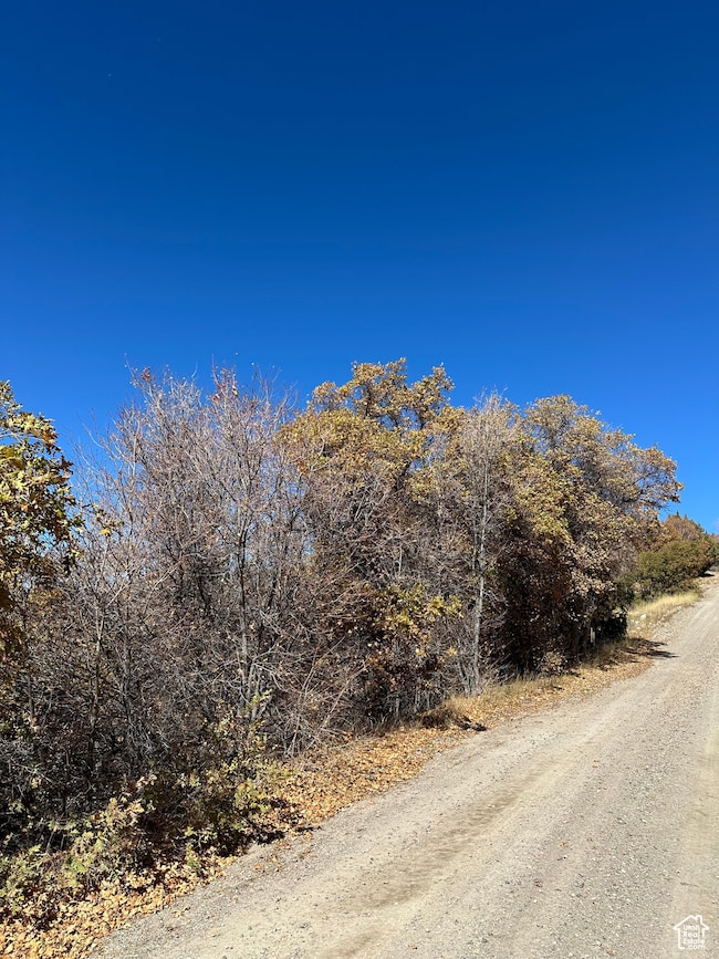 22949 N 13755 E unit 93, Fairview, UT 84629 - photo 2