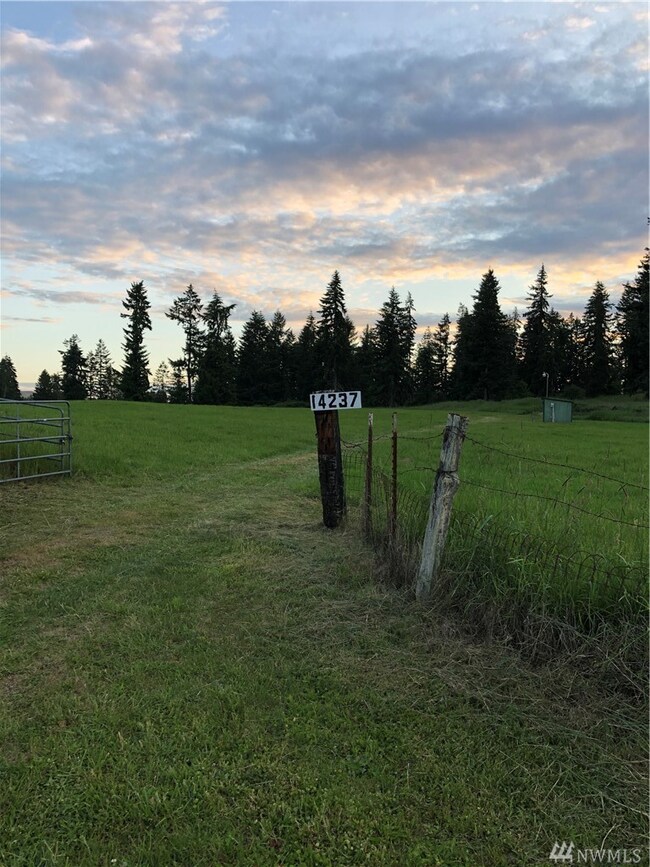 14237 Solberg Rd SE, Yelm, WA 98597 - photo 4