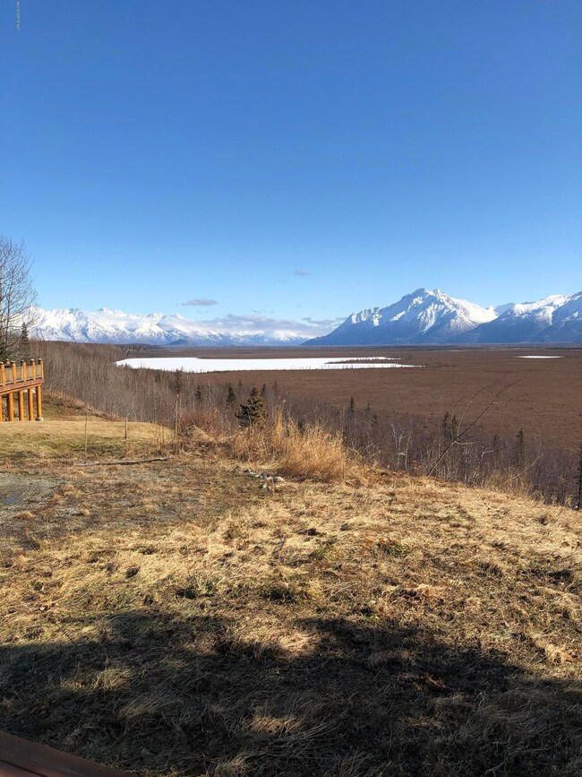 Pioneer to Knik