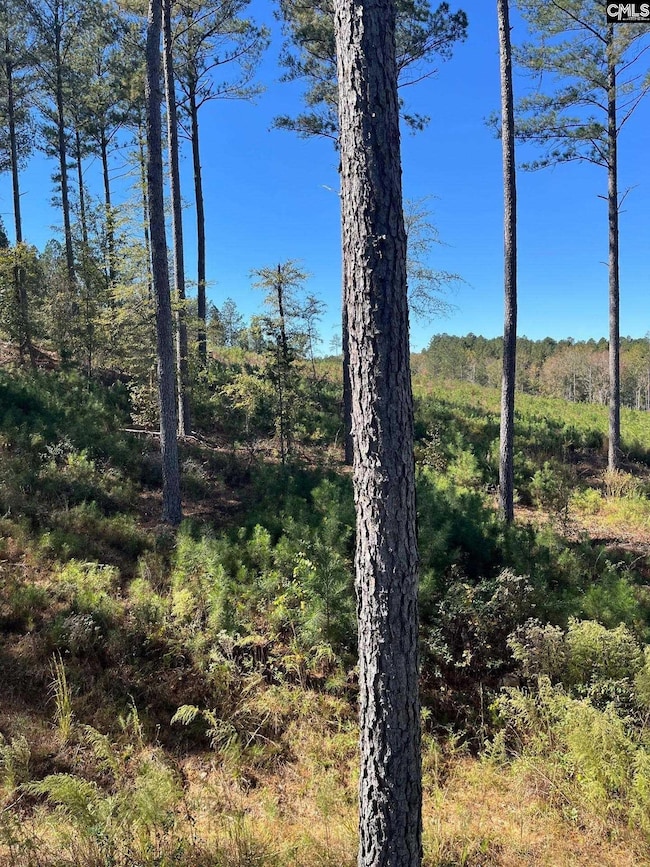 DRF 5 Dawkins Rd unit DRF 5, Pacolet, SC 29372 - photo 4