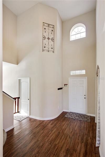 10117 Coldwater Loop, Land O Lakes, FL 34638 - photo 3