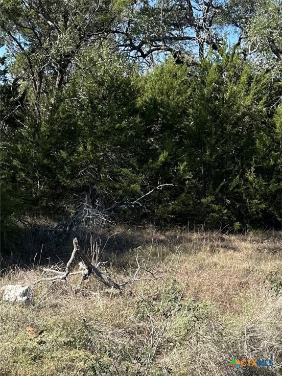 1215 Powder Ridge, New Braunfels, TX 78132 - photo 5