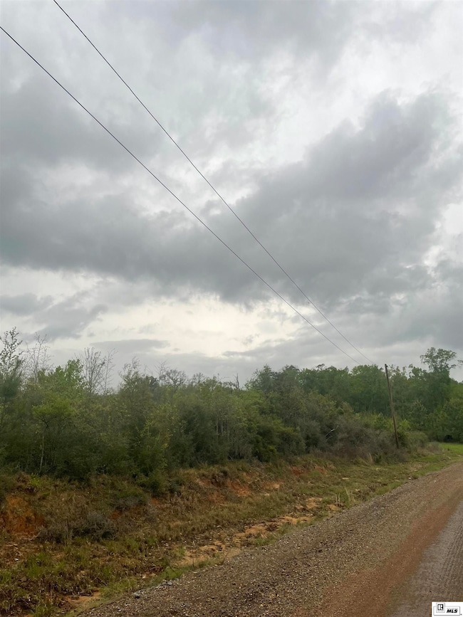 000 Par Road 319, Chatham, LA 71226 - photo 2