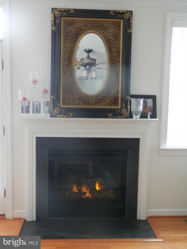 3525 Carriage Walk Ln, Laurel, MD 20724 - photo 4