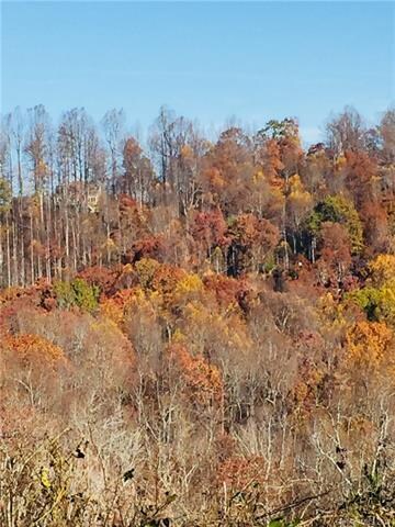 Overlook view from Pinnacle Mountain Road