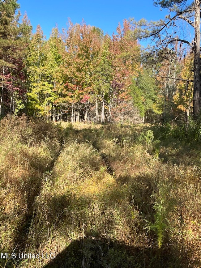 167 Carroll Powerline 1