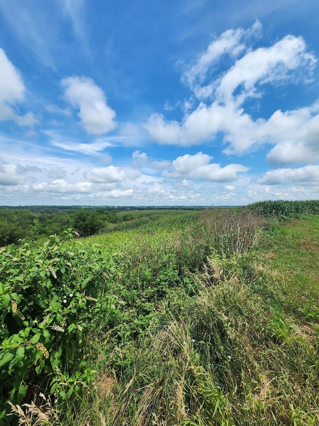 Tbd Mustang Ave, Nelson, MO 65347 - photo 5