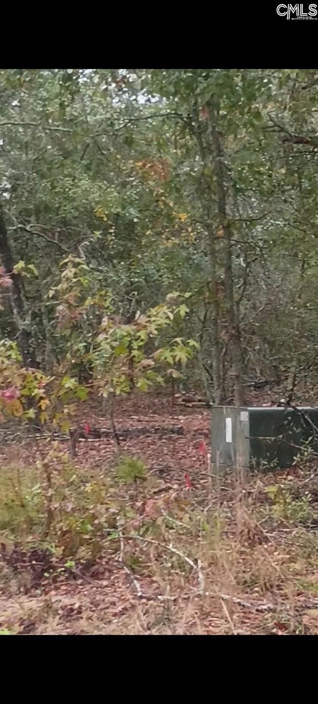 131 Rhinehart St unit 131&137, Orangeburg, SC 29118 - photo 4