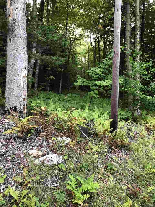 4 Branch Hill Rd, Readsboro, VT 05350 - photo 2