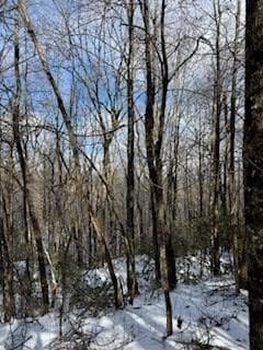 18N Bear Paw Rd, Jasper, GA 30143 - photo 5