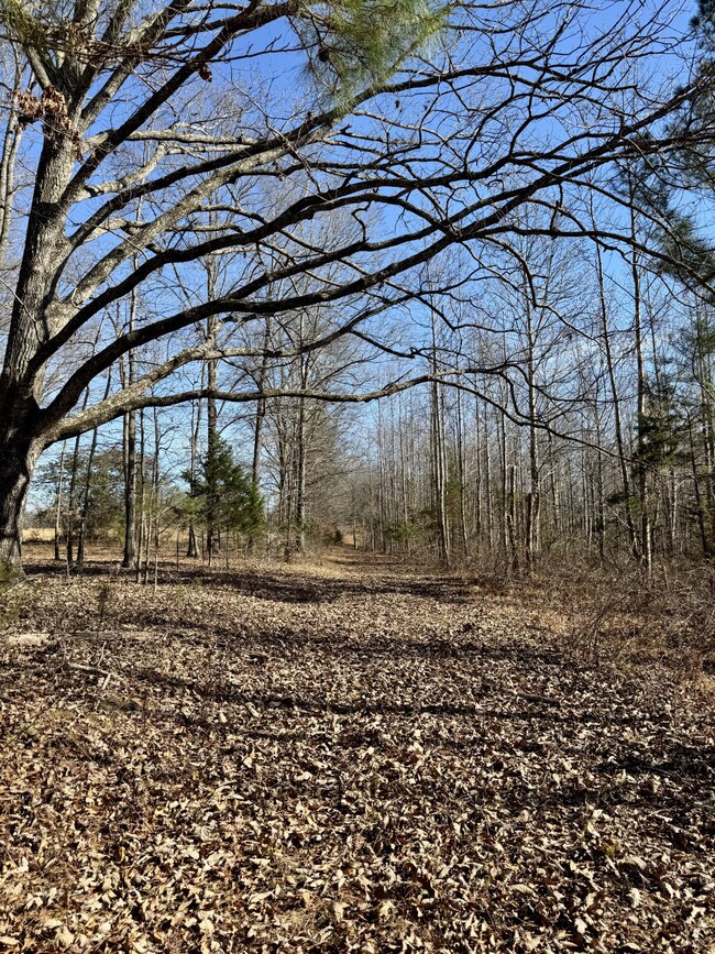 0 Lewisburg Hwy unit RTC3033027, Pulaski, TN 38478 - photo 3