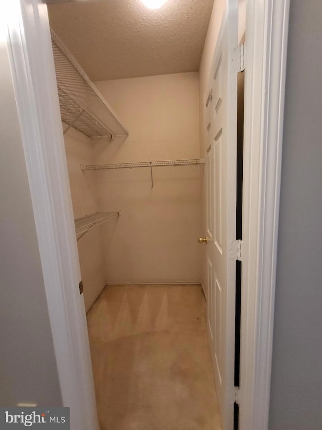 13070 Autumn Woods Way unit 101, Fairfax, VA 22033 - photo 7