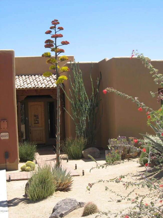 front entry1