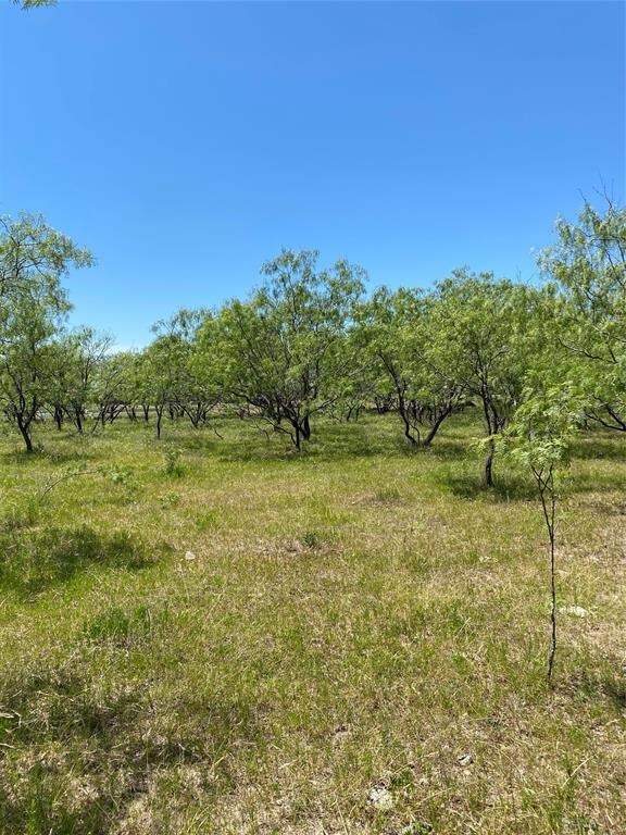 Lot 10 TBD Fm 1181, Ennis, TX 75119 - photo 5