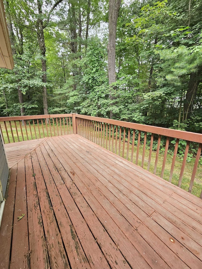 Back Deck-1
