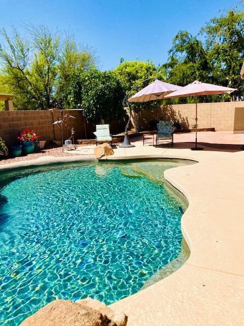Pool & stone patio