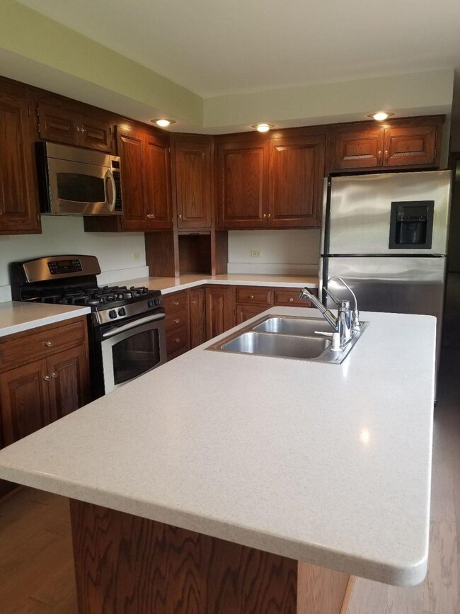 11617 Patterson Ave, Cedar Lake, IN 46303 - photo 7