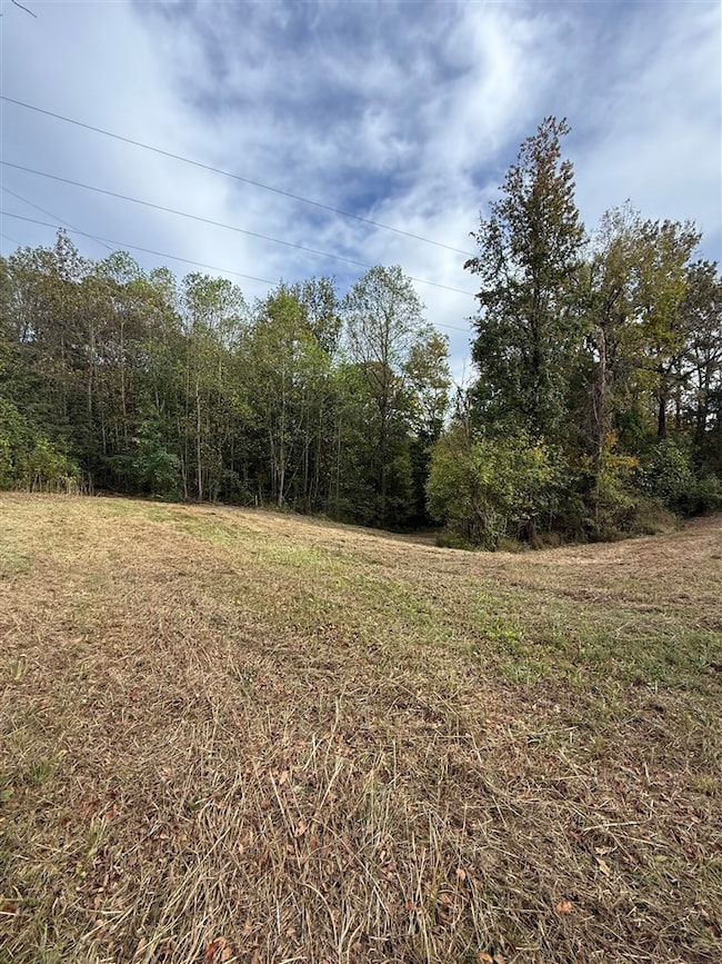 0 Cool Springs Rd unit RA20256983, Morgantown, KY 42261 - photo 4