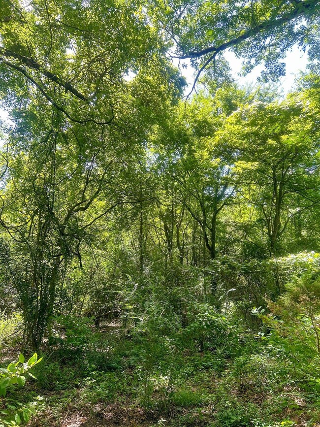 855 Hempstead 56, Hope, AR 71801 - photo 5