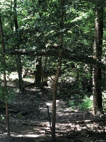 4610 Mason Run Ct, North Chesterfield, VA 23234 - photo 5