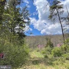 LOT 18 Warden Lake, Wardensville, WV 26851 - photo 3