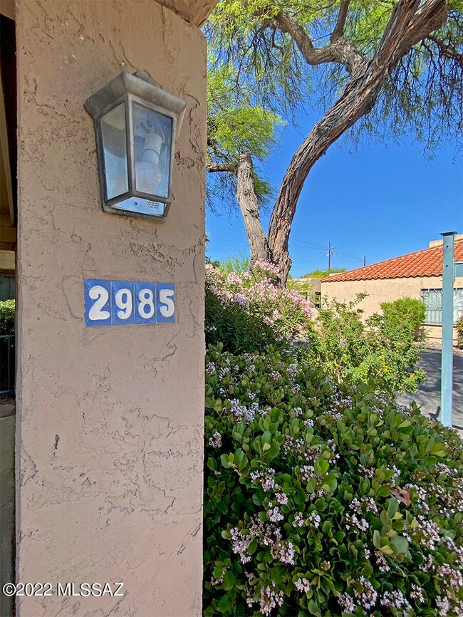 2985 E Winterhaven Dr, Tucson, AZ 85716 - photo 3