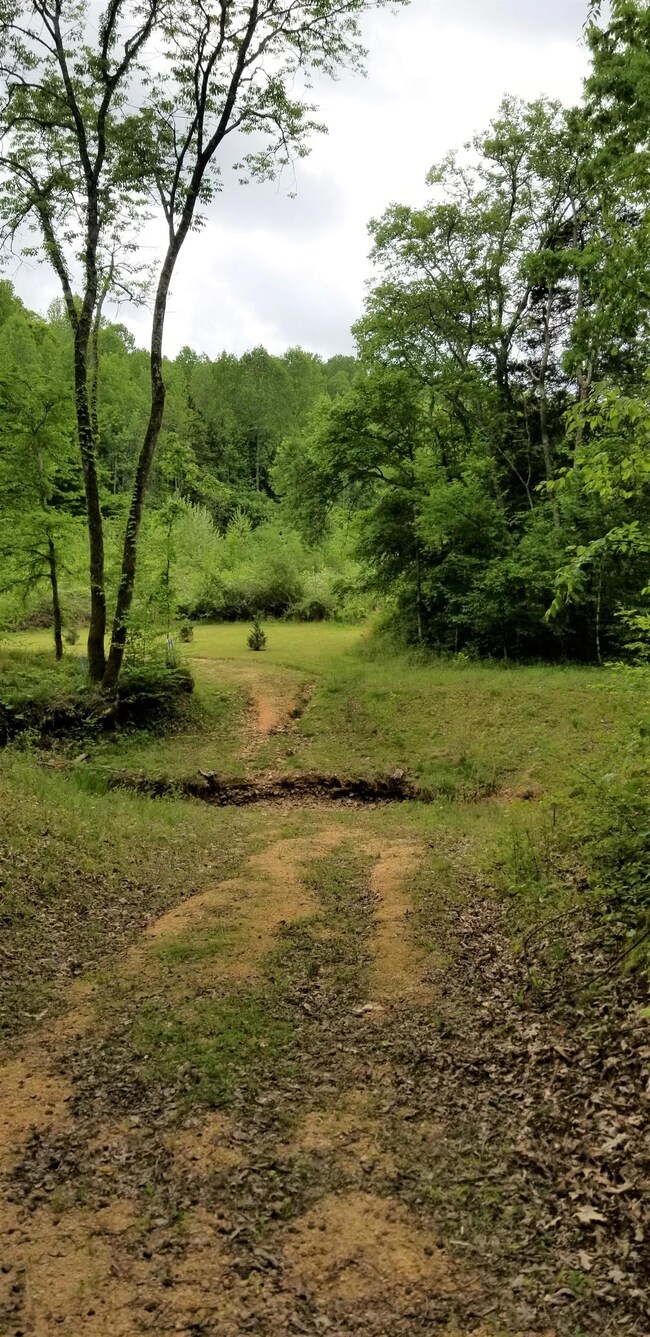 2079 Swindle Creek Rd, Linden, TN 37096 - photo 3