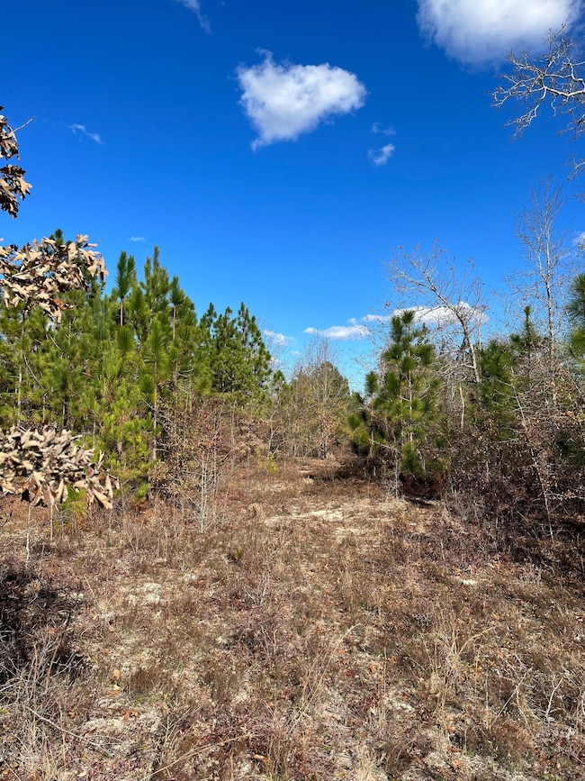 492 Southbound Rd, Swansea, SC 29160 - photo 4