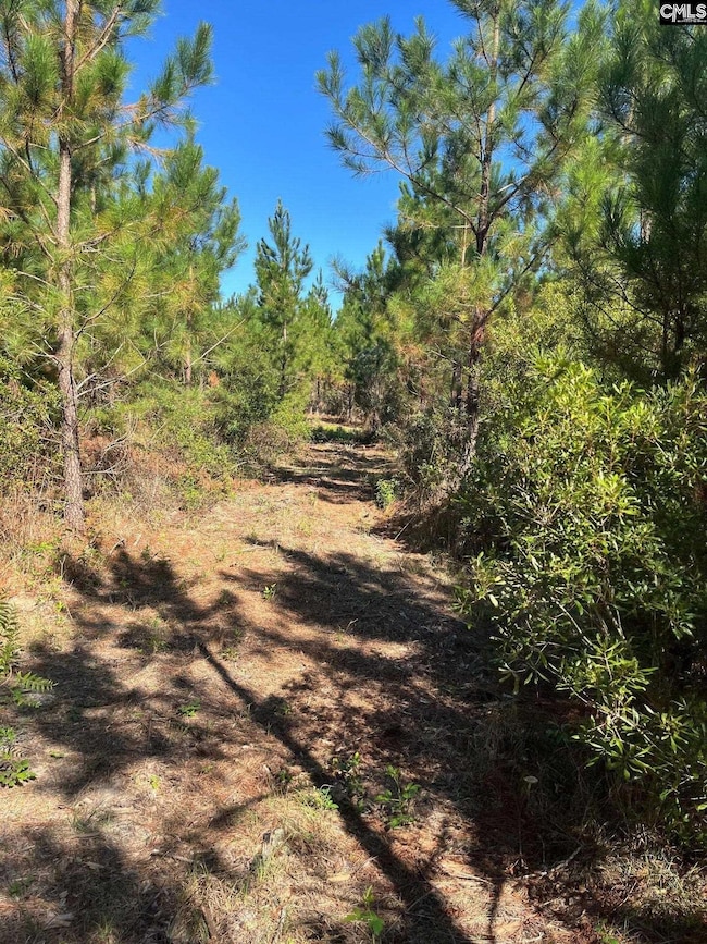 Bff 1e Brunson Teal Rd unit Bff 1e, Patrick, SC 29584 - photo 4