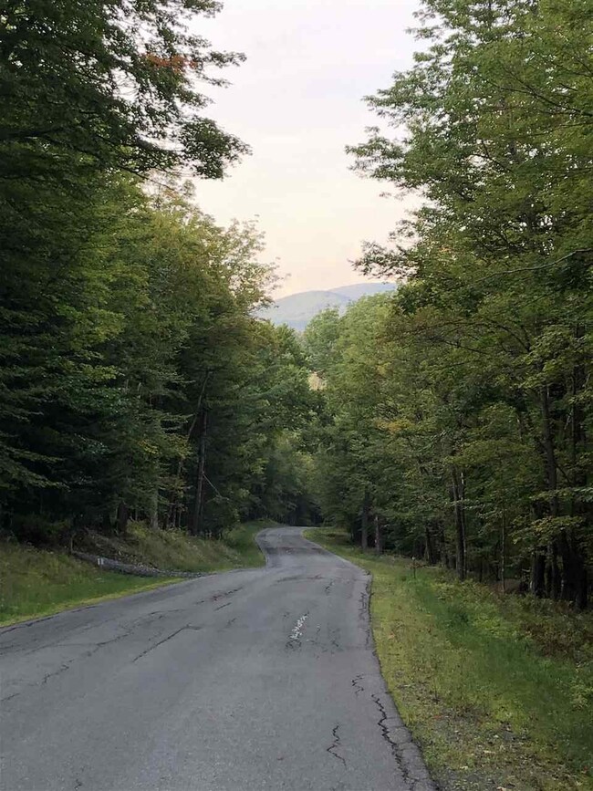 lot#5 Branch Hill Rd unit Lot 5, Readsboro, VT 05350 - photo 3