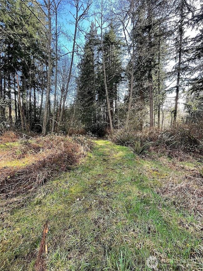 Trail leading from the meadow to the forrest trail. Most of the parcel is covered in trees with very modest underbrush.