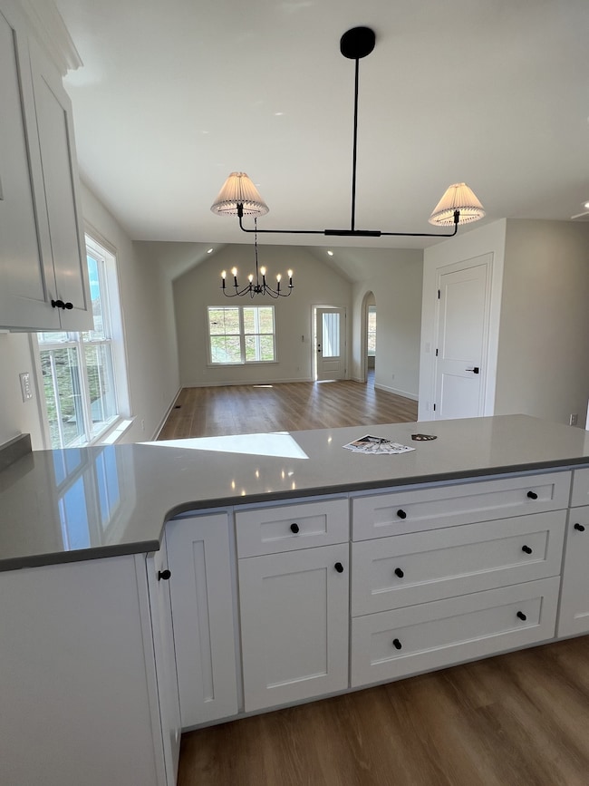 9716 Campbellsville Rd, Pulaski, TN 38478 - photo 4