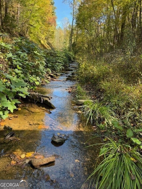 0 John Call Rd, Ellijay, GA 30536 - photo 6