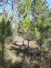 0 Salyers Rd unit O6078900, Clermont, FL 34714 - photo 2