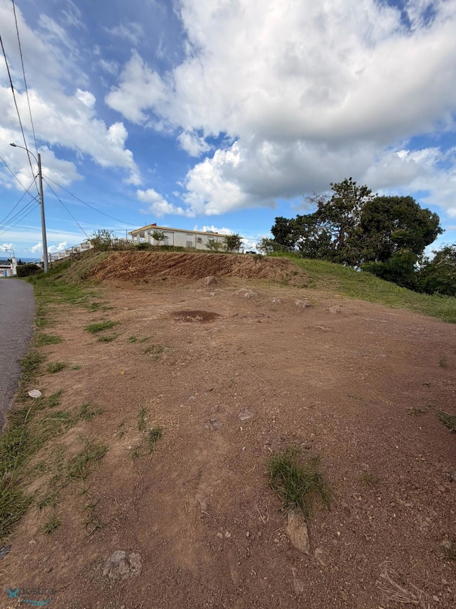 KM 4.2 Bo Carrizal unit Solar 1, Aguada, PR 00602 - photo 2