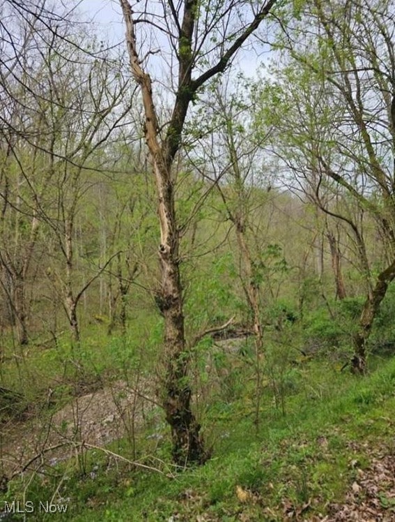 1247 Rocky Branch Rd, Linden, WV 25259 - photo 6